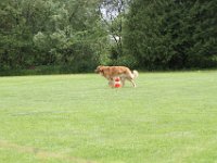 Bendix und das Boxband (90)